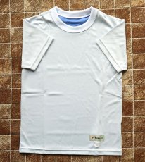 画像1: 透けな衣Tシャツ半袖 （校章のみ） (1)